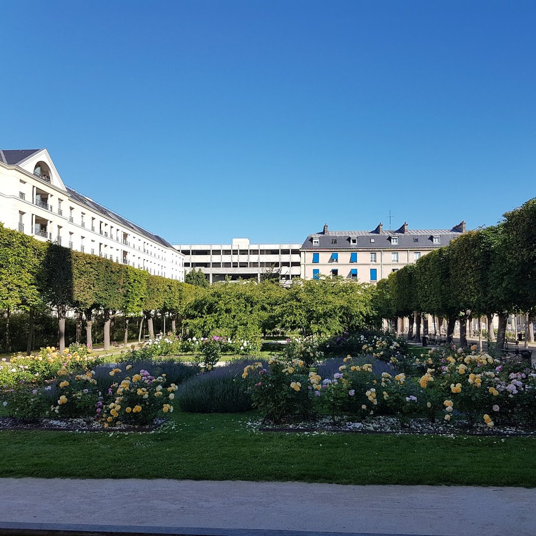 Jardin de la Cour d'Honneur / Roseraie 2